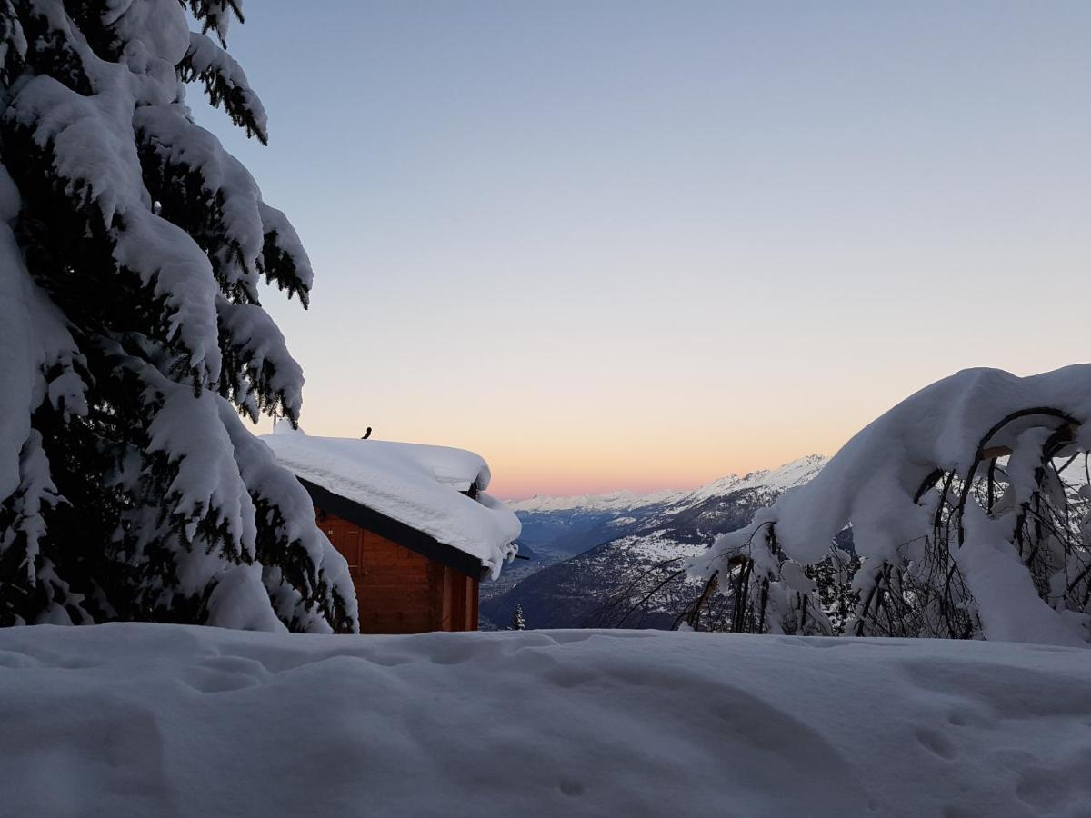 Chalet Bietschhorn Rosswald Termen エクステリア 写真